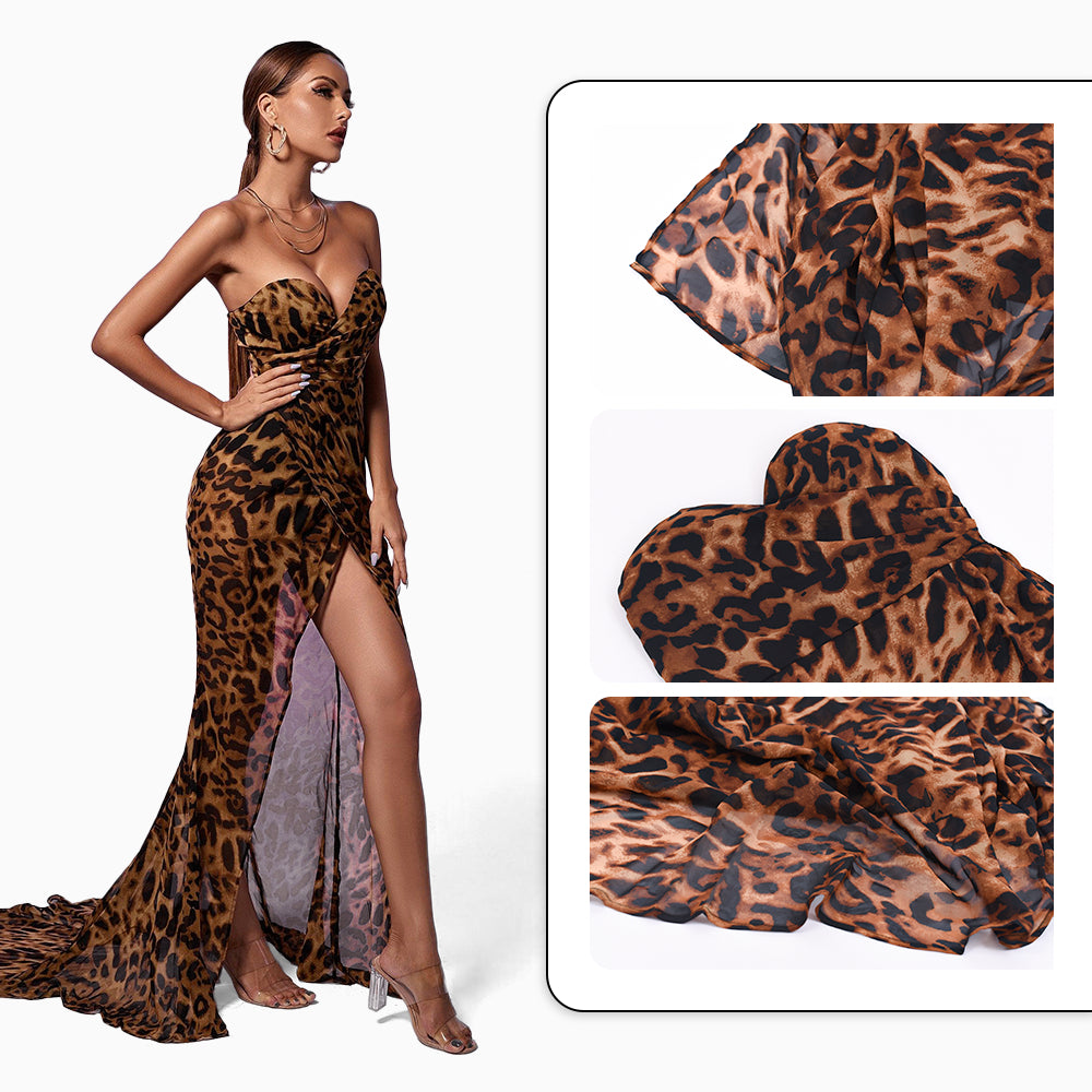 Alara Sleeveless Floor Length Leopard Print Mesh Slit Maxi Dress